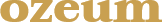 Toluntz Art