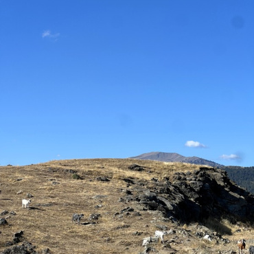 Rocky Hillside