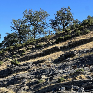 The Cliff Path