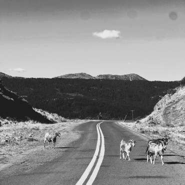 The Empty Road