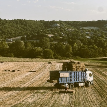 The Harvest