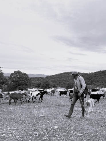 The Shepherd's Walk